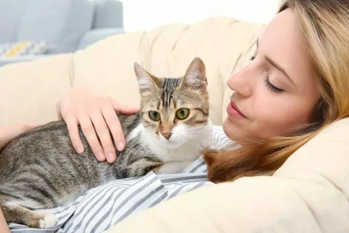 Bir kedi yeni bir eve nasıl öğretilir? Yaşlı kediyi yeni bir ikamet yerine nasıl uyarlanır? Bir yavru kedi bağımlılığı için ne kadar zaman ihtiyacı var? 11924_4