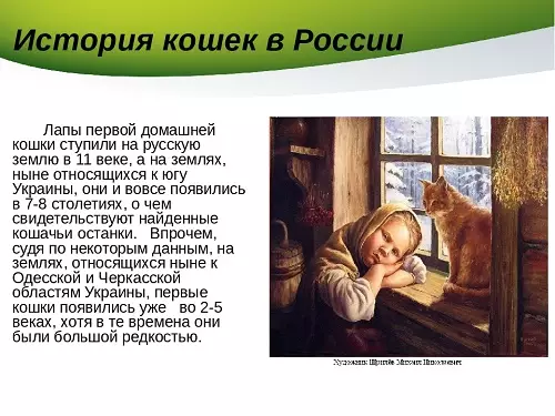 Macet e domaining: Historia e pamjes së maceve në jetën e një personi. Kur macet e zbutura? 11925_13