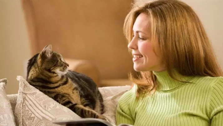 هل القطط فهم الكلام البشري؟ القطط يمكن أن نفهم أن الناس يتحدثون إليهم وأنب لهم؟ 11927_3