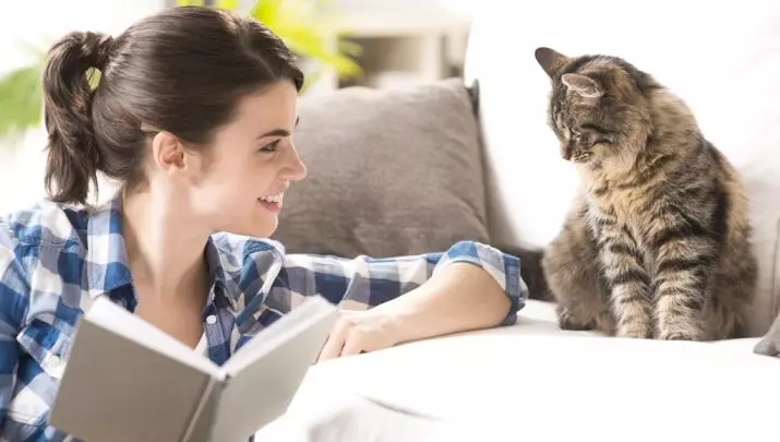Adakah kucing memahami ucapan manusia? Bolehkah kucing memahami bahawa orang bercakap dengan mereka dan memarahi mereka? 11927_5
