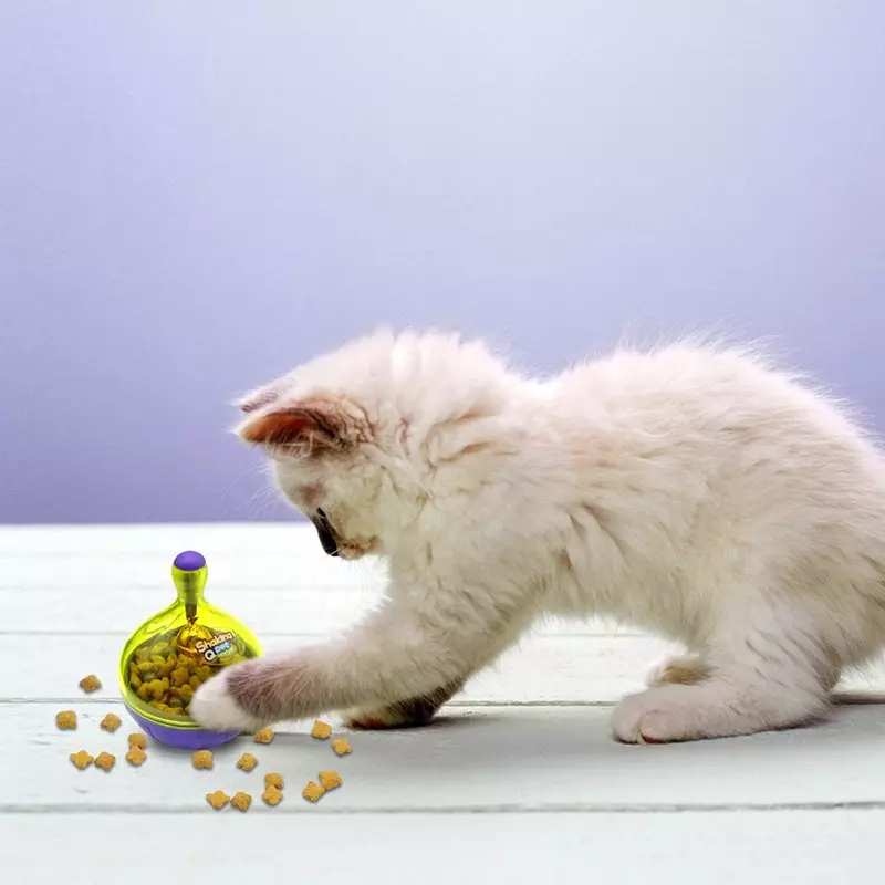 Lelut kissoille (59 valokuvaa): parhaat vuorovaikutteiset ja älykkäät pelit kissoille, elektronisille hiirille ja Nevoshaille pennuille, ympyrä, jossa on pallo ja lelut, joissa on herkullinen 11931_10