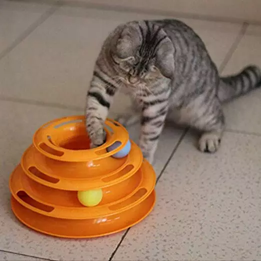 Играчки за котки (59 снимки): най-добрите интерактивни и интелигентни игри за котки, електронни мишки и nevoshai за котенца, кръг с топка и играчки с деликатес вътре 11931_21