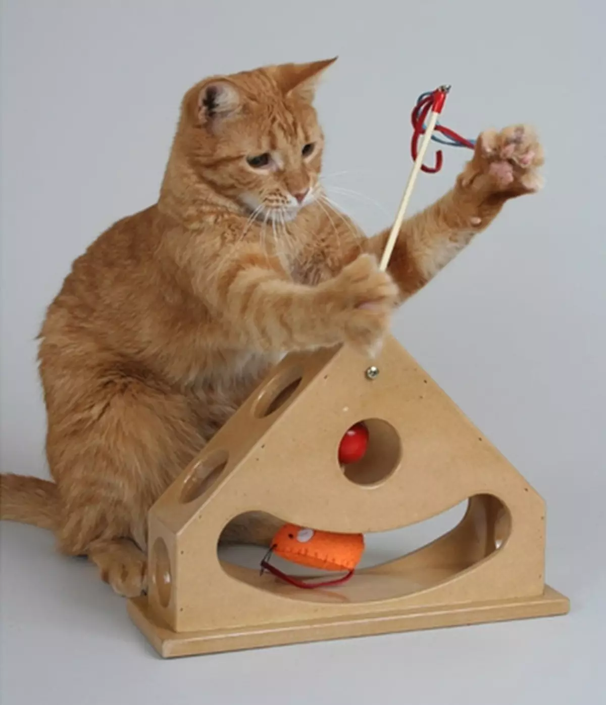 Играчки за котки (59 снимки): най-добрите интерактивни и интелигентни игри за котки, електронни мишки и nevoshai за котенца, кръг с топка и играчки с деликатес вътре 11931_23