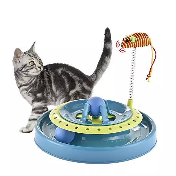 Lelut kissoille (59 valokuvaa): parhaat vuorovaikutteiset ja älykkäät pelit kissoille, elektronisille hiirille ja Nevoshaille pennuille, ympyrä, jossa on pallo ja lelut, joissa on herkullinen 11931_26