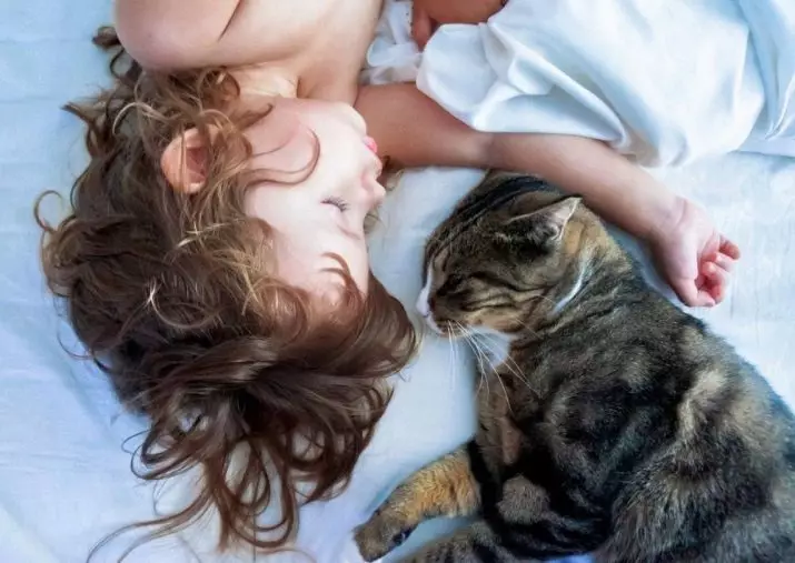 Perché i gatti dormono nelle gambe del proprietario? Cosa significa questo per una persona? E se il gatto si trova costantemente vicino alla hostess di notte? 11944_11