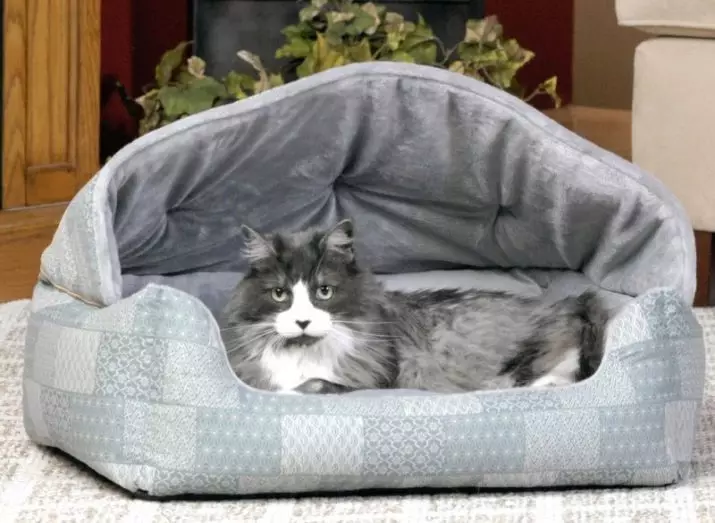 Miért alszik a macskák a tulajdonos lábaiban? Mit jelent ez egy személy számára? Mi van, ha a macska folyamatosan a hostess éjszaka közelében fekszik? 11944_16