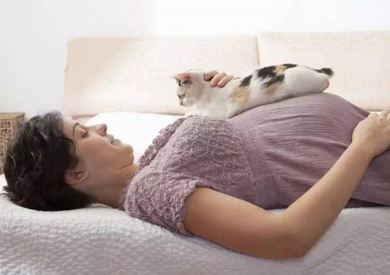 Pse macet flenë në këmbët e pronarit? Çfarë do të thotë kjo për një person? Po sikur mace vazhdimisht qëndron pranë zonjës gjatë natës? 11944_8