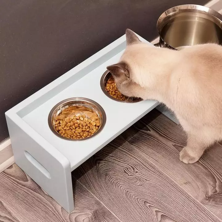Pourquoi les chats enterrent-ils la nourriture? Pourquoi les chats brûlent les aliments à côté de la mission avec de l'eau après leur arrivée? Pourquoi les chats le font-ils à chaque fois? 11949_16