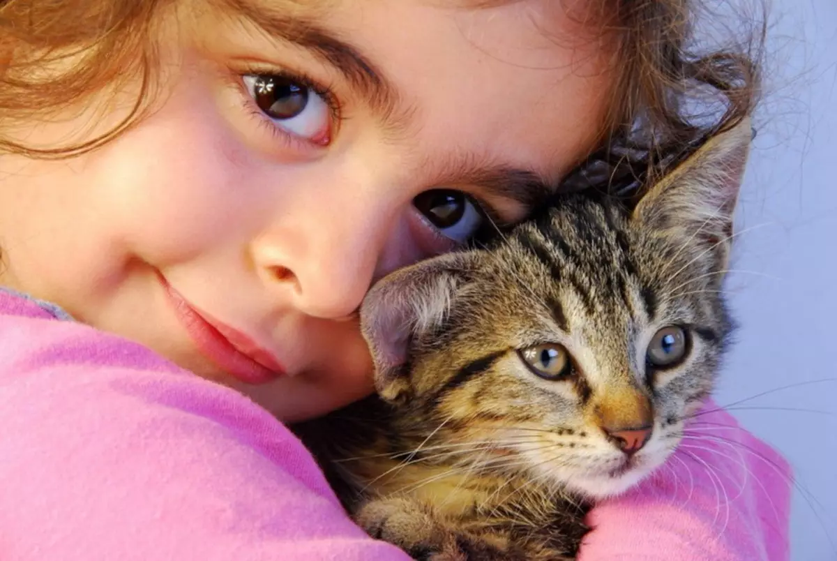 Најсреќните раси на мачки (56 фотографии): врвот на најпознатите, мирни и рачни раси за деца. Кои карпи мачки се сметаат за најприродни и паметни во светот? 11952_54