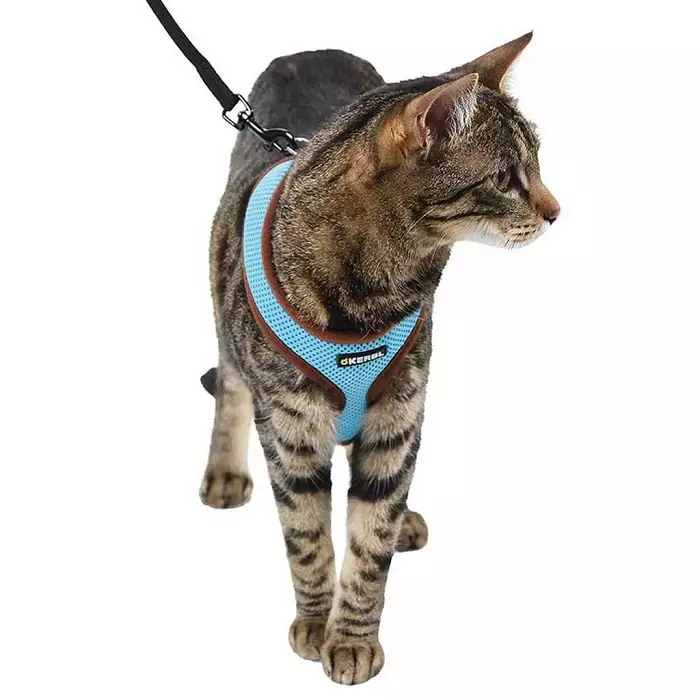 Hvordan man bærer en kat i en kat? 21 Foto trin-for-trin instruktioner iført en kat Plleekie Vests og andre typer slæder 11961_3