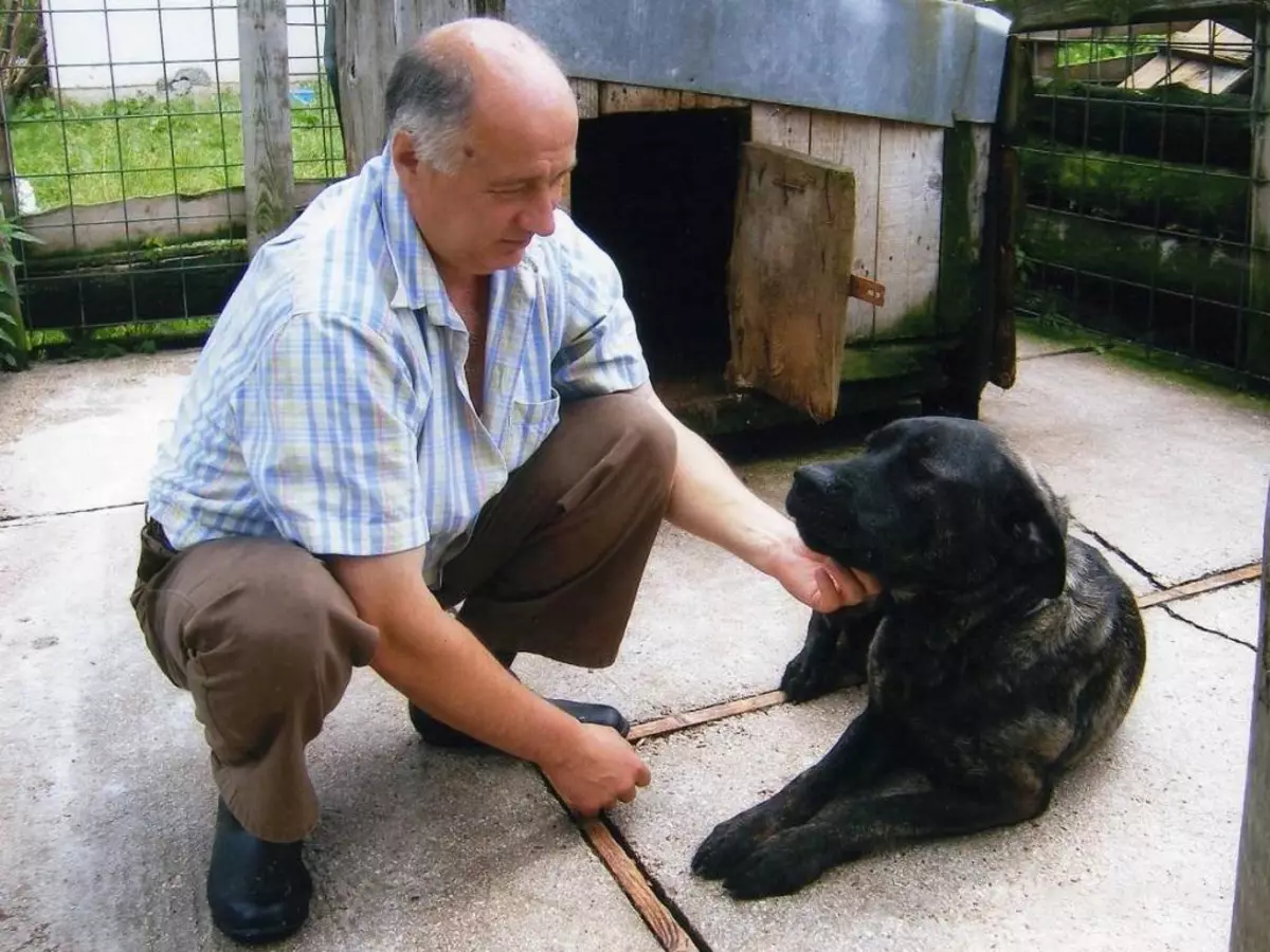 養犬育種品種（58張）：街上私人住宅的最佳“衛兵”，兒童和全家中等尺寸的“保鏢”。什麼品種適合公寓？ 12044_19