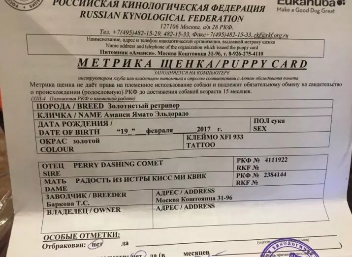 Puppy Metric: Apa itu? Bagaimana cara menukar kartu anak anjing pada silsilah di RKF? Bagaimana cara memeriksa metrik anjing? 12048_3