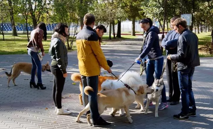 Hondbelasting: Sal dit in Rusland bekendgestel word? Belasting op honde-eienaarskap in Duitsland, Swede en ander lande 12112_10
