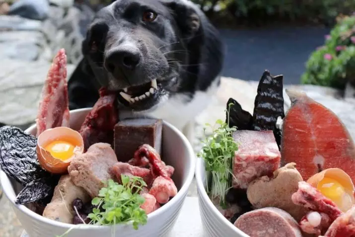 შესაძლებელია კარტოფილის ძაღლებისთვის? 19 ფოტო არის შესაძლებელი ლეკვები და ზრდასრული ძაღლები მოხარშული და ნედლი კარტოფილი? რა მოხდება, თუ ძაღლი შეჭამა კარტოფილის კარტოფილი? 12155_2