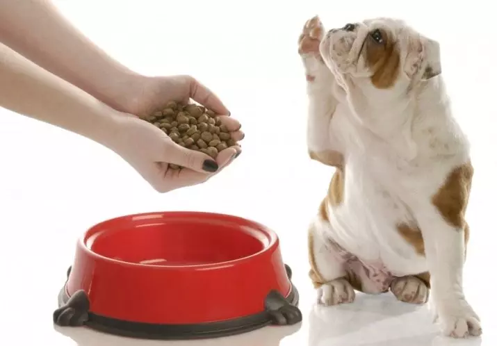 Suapan kering untuk anak anjing (17 foto): Ciri-ciri pemakanan. Berapa banyak gram yang perlu diberikan sehari? Bagaimana dengan betul mengira norma di atas meja? 12166_13