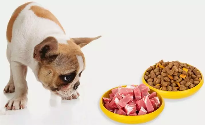 Suapan kering untuk anak anjing (17 foto): Ciri-ciri pemakanan. Berapa banyak gram yang perlu diberikan sehari? Bagaimana dengan betul mengira norma di atas meja? 12166_5