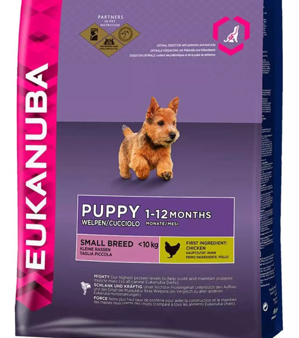 Pagkain para sa maliit na breed (35 mga larawan): Premium feed para sa maliit na aso tuta at iba pang mga species. Rating ng mga pinakamahusay na tagagawa. Mga Review 12182_21