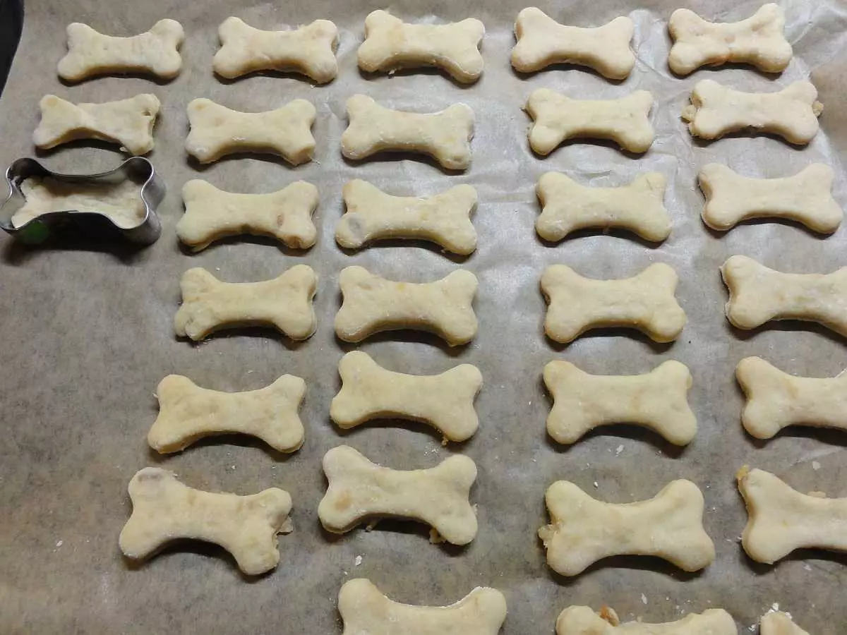 狗的曲奇饼：食谱来自燕麦和肝脏的烹饪饼干。如何制作狗美味？你可以给任何动物吗？ 12204_15