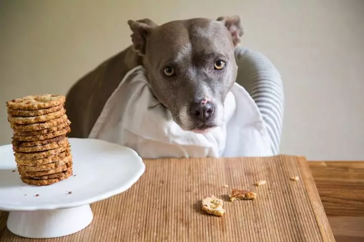 Cookies til hunde: Opskrifter til madlavning af kager fra havregryn og lever. Hvordan laver man en hund delikatesse? Kan du give nogen dyr? 12204_2