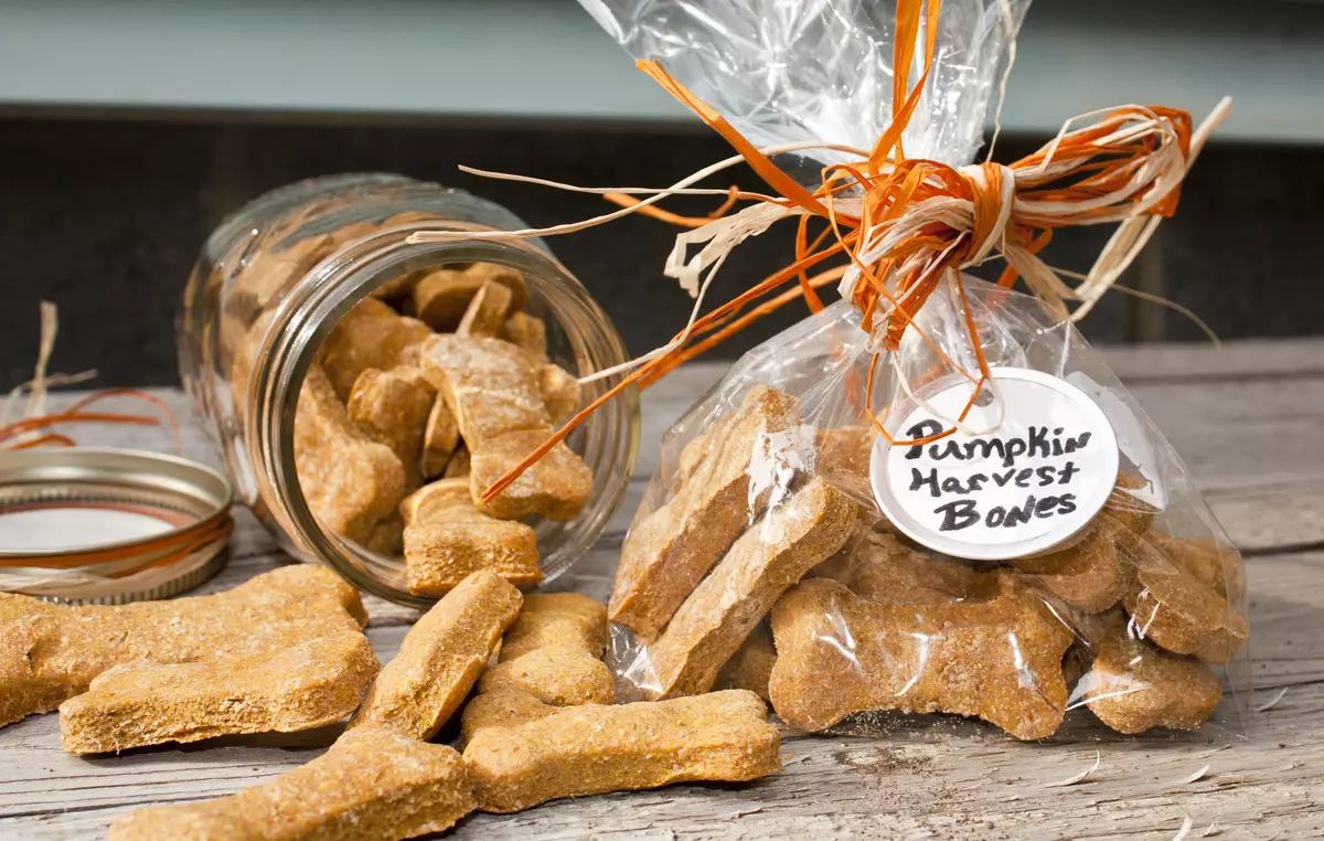 狗的曲奇饼：食谱来自燕麦和肝脏的烹饪饼干。如何制作狗美味？你可以给任何动物吗？ 12204_3