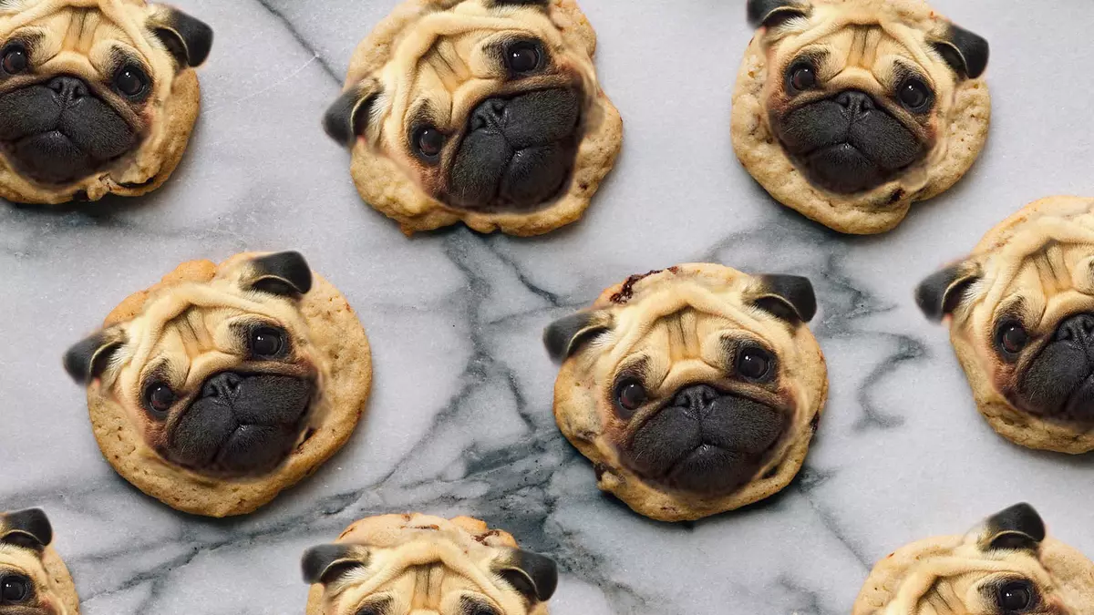 Cookies til hunde: Opskrifter til madlavning af kager fra havregryn og lever. Hvordan laver man en hund delikatesse? Kan du give nogen dyr? 12204_4