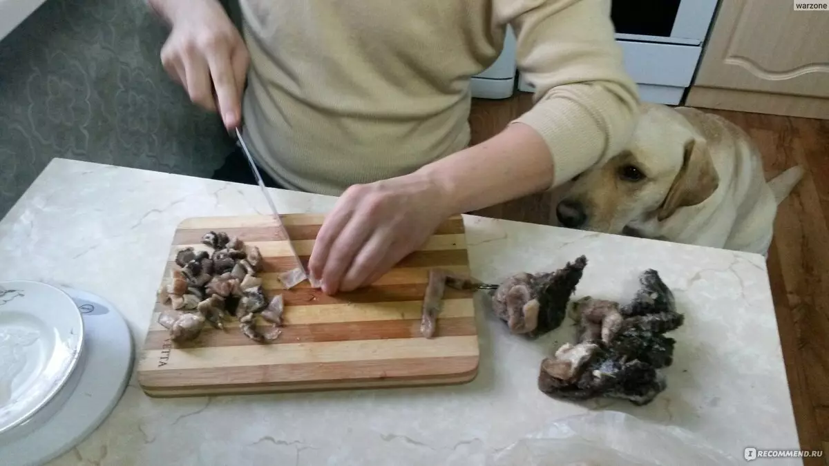 cicatriu gos (14 fotos): Què és? Com cuinar carn de res i el batedor cicatriu? Què són útils i perjudicials? Amb quina freqüència per donar un gos cicatriu? 12214_10