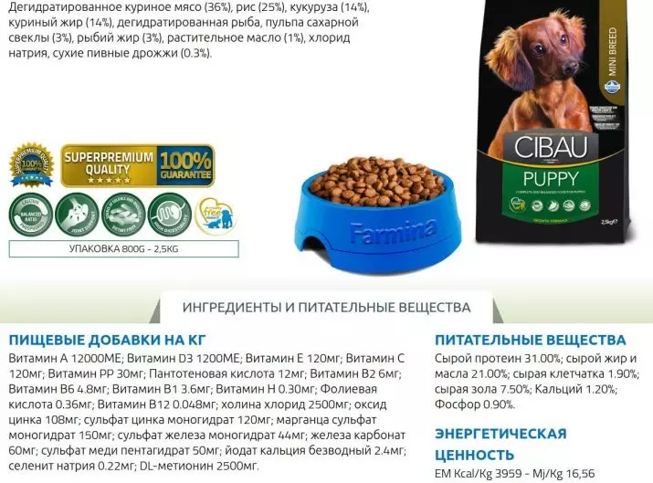 Aliments secs per a gossos de petites races: una visió general del millor alimentació per a cadells pendents pendents. Què triar per gossos esterilitzats i castrats? 12220_12