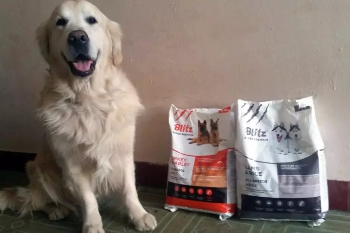 Köpekler için Kuru Premium Yem: Büyük ve küçük kayaların yavruları için en iyi yemlerin değerlendirmesi 12226_14