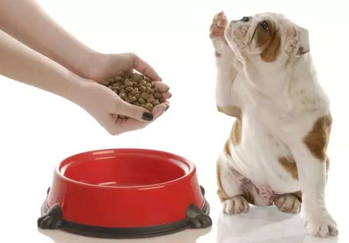Dry Premium Feed For Dogs: Taksado de la plej bona nutraĵo por idoj de grandaj kaj malgrandaj rokoj 12226_22