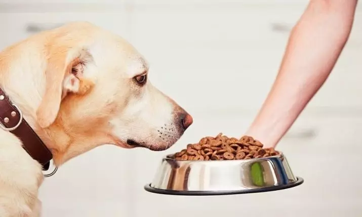 להאכיל פרימיום יבש לכלבים: דירוג ההזנה הטובה ביותר לגורים של סלעים גדולים וקטנים 12226_5