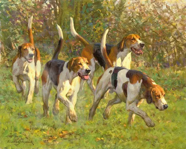 Rus Hound Dog (29 şəkil): Təsvir bala və digər rəngli itlər. Ov cinsinin xarakteri 12241_4