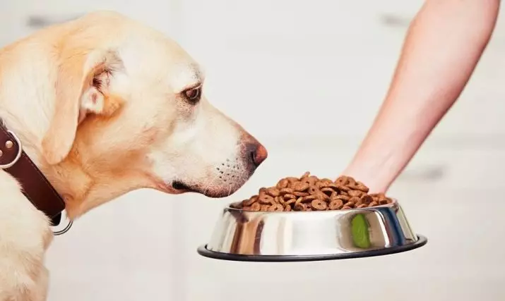 მშრალი სუპერ პრემიუმ კლასი ძაღლებისთვის: საუკეთესო საკვების რეიტინგი მცირე, საშუალო და დიდი ჯიშის ლეკვებისთვის. შერჩევა საკვების სტერილიზებული ძაღლები 12246_17