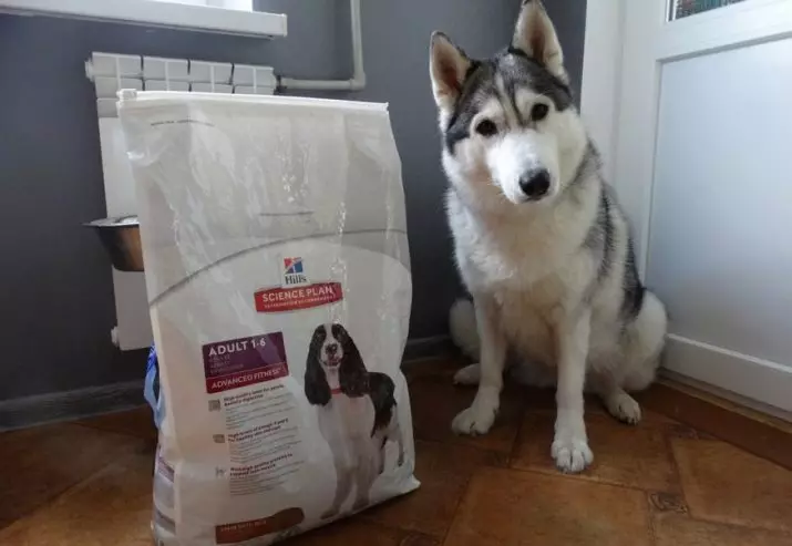 Dry Super Premium Class üçün Dogs: kiçik, orta və böyük cins bala üçün ən yaxşı feed reytinqi. sterilizasiya itlər üçün yem seçilməsi 12246_19