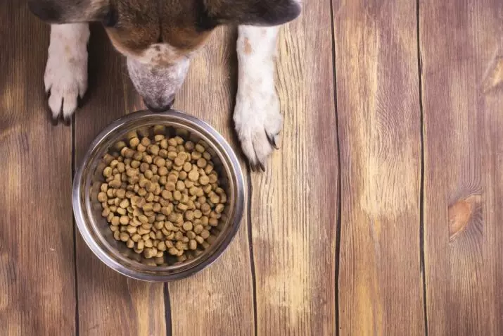 მშრალი სუპერ პრემიუმ კლასი ძაღლებისთვის: საუკეთესო საკვების რეიტინგი მცირე, საშუალო და დიდი ჯიშის ლეკვებისთვის. შერჩევა საკვების სტერილიზებული ძაღლები 12246_2