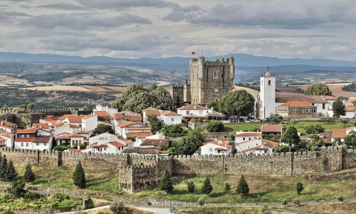 Portugisisk vattenhund (30 bilder): Ras Beskrivning Portugisiska Weasser, hundinnehållsfunktioner 12247_4