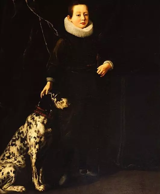 Dalmatian (89 valokuvaa): Pennujen ja aikuisten koirien kuvaus, rodun luonteen ominaisuudet. Methotien ominaisuus. Omistusarvostelut 12249_4