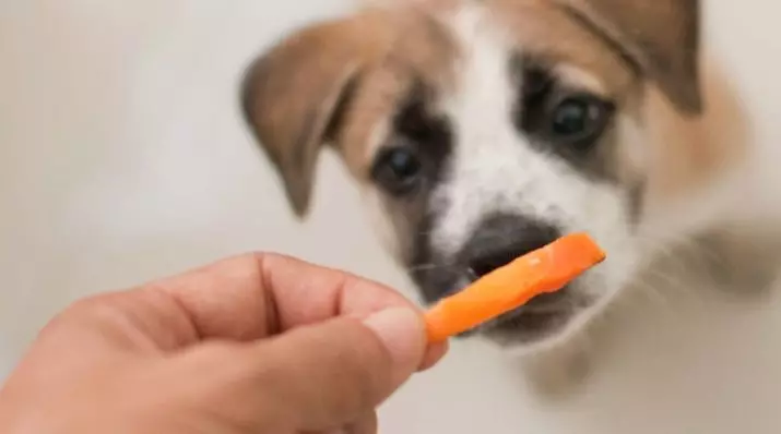Dog Delicacies: Πώς να επιλέξετε σνακ; Φυσικά μπαστούνια για κουτάβια, λιχουδιές σκυλιών από το φως του βοείου κρέατος και άλλα είδη 12258_2