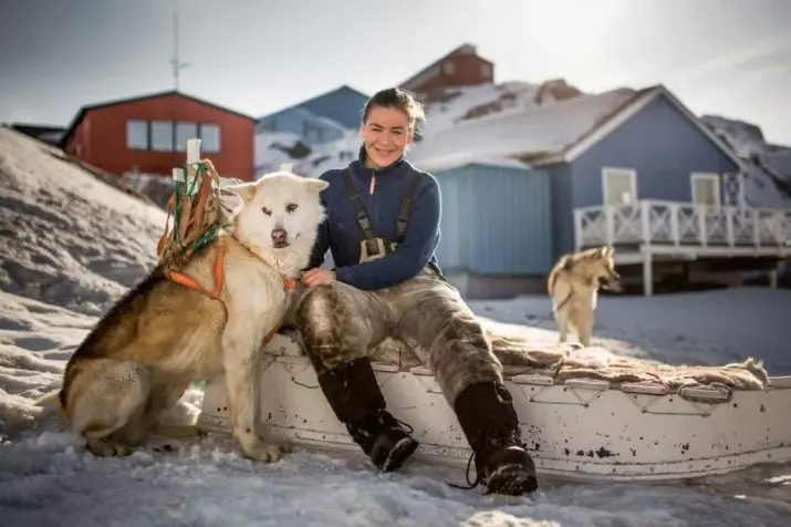 Greenland Dog (21 foto): Descrizione dei cani della roccia di equitazione, il carattere dei cuccioli di PrentExhund. Condizioni per il loro contenuto 12261_8