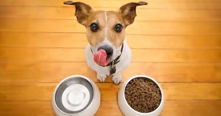 Suché potraviny pre psov: hodnotenie najlepších výrobcov. Zobraziť prehľad. Ako si vybrať jedlo pre aktívnych a iných psov? Veterinárne hodnotenie 12268_33