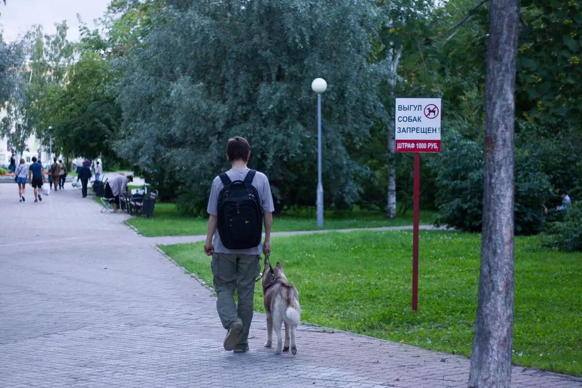 Можно гулять с собакой в парке. Выгул собак в неположенном месте. Прогулка с собакой в городе. Выгул собак без намордника и поводка. Выгуливать собаку.