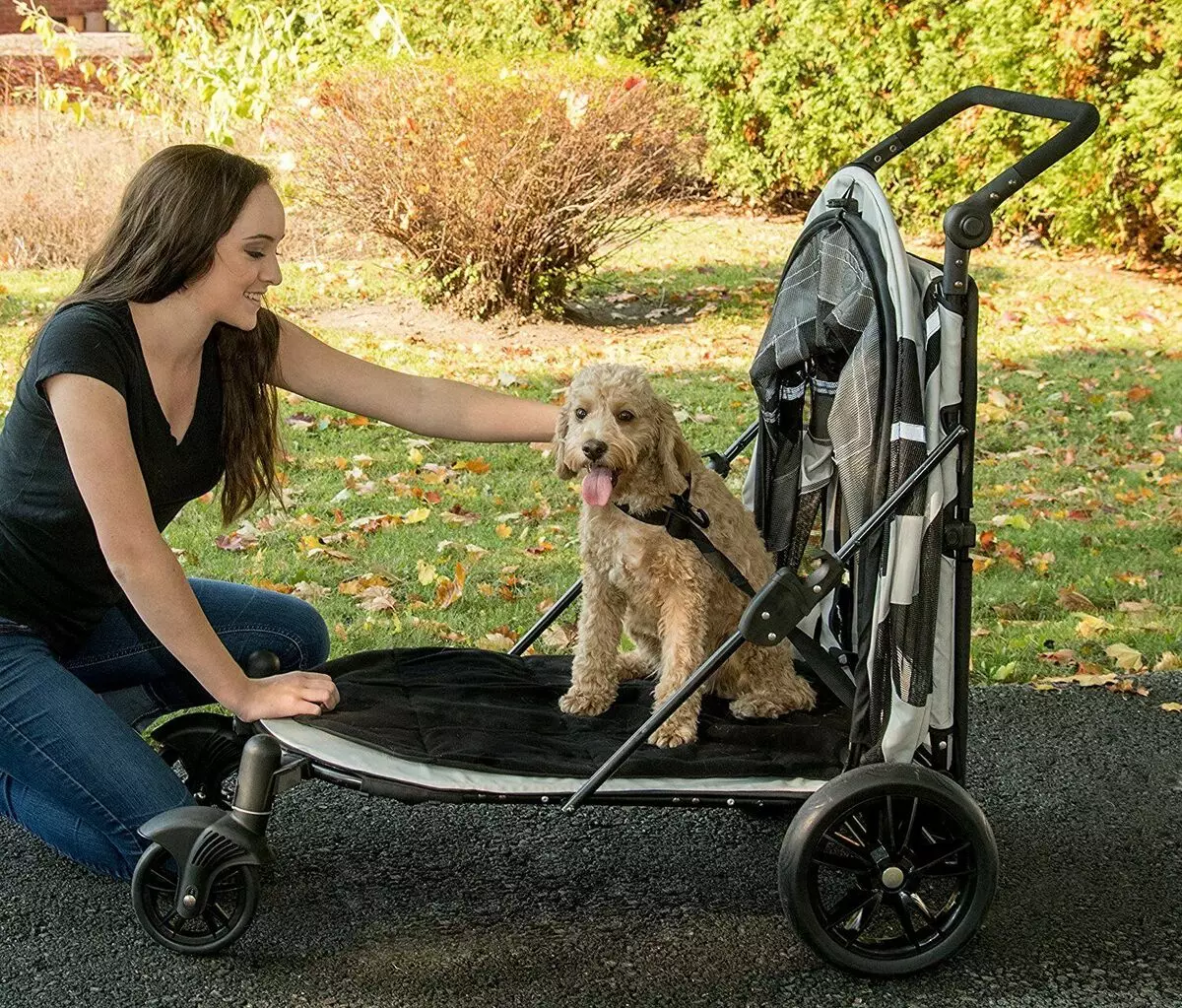 Wózki workowe (33 zdjęcia): Opis spacerowania przyjemności do transportu psów małych ras 12342_22