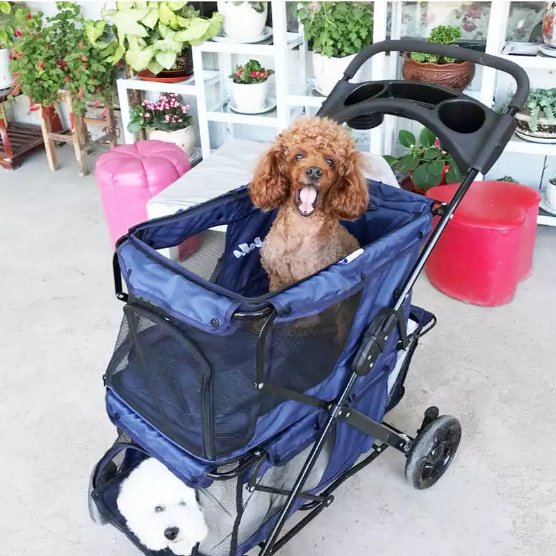 Wózki workowe (33 zdjęcia): Opis spacerowania przyjemności do transportu psów małych ras 12342_23