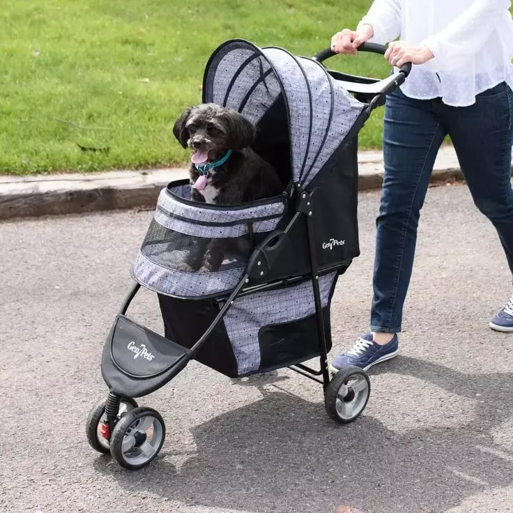 袋婴儿推车（33张照片）：漫步婴儿障碍物的描述 12342_28