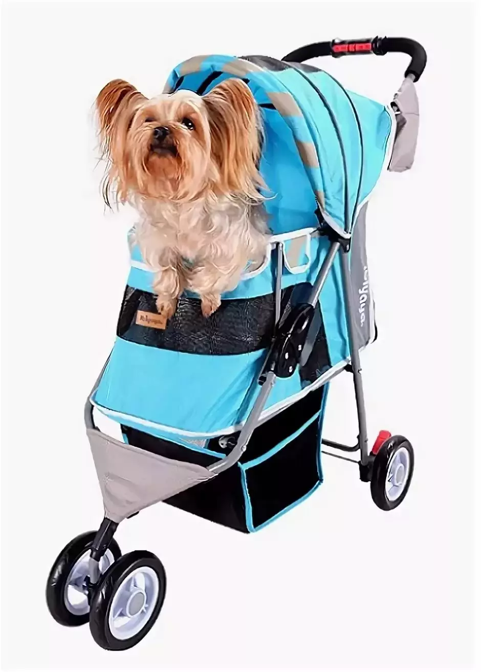 Wózki workowe (33 zdjęcia): Opis spacerowania przyjemności do transportu psów małych ras 12342_29