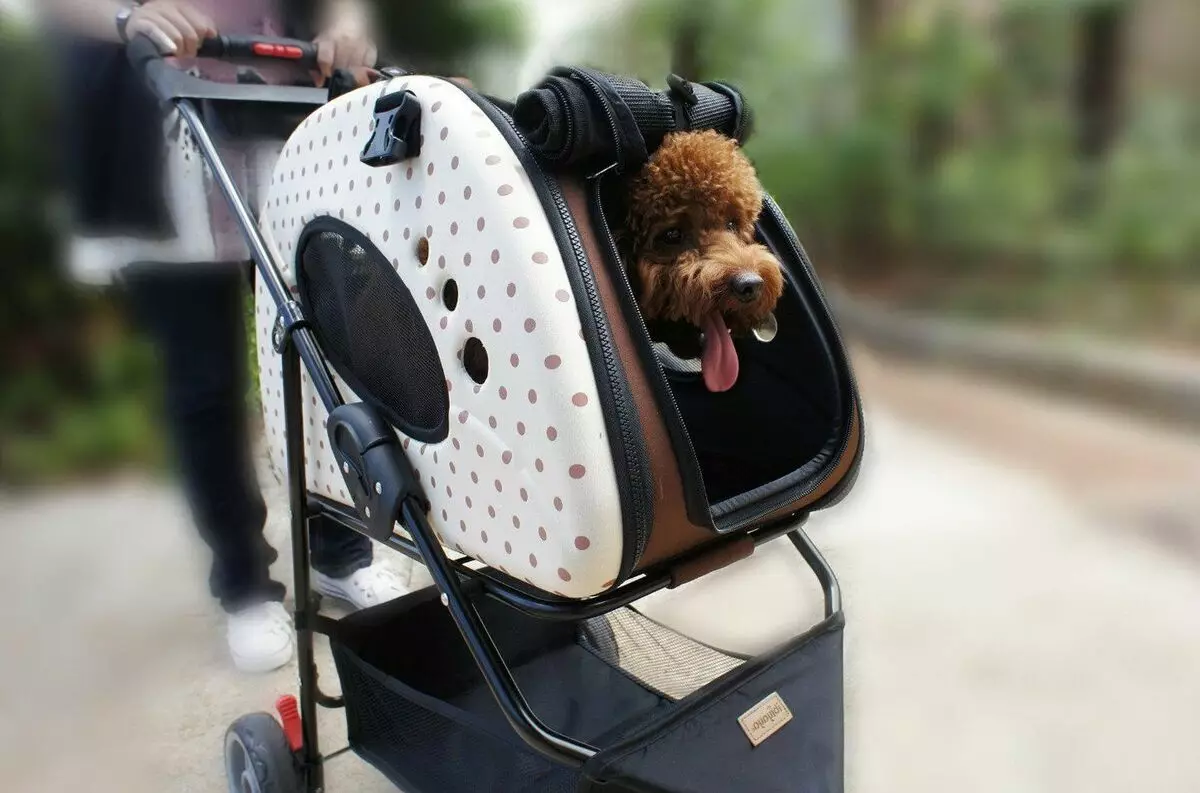 Кошница колички (33 снимки): Описание на плавателни колички за транспортиране на малки кучета порода 12342_3