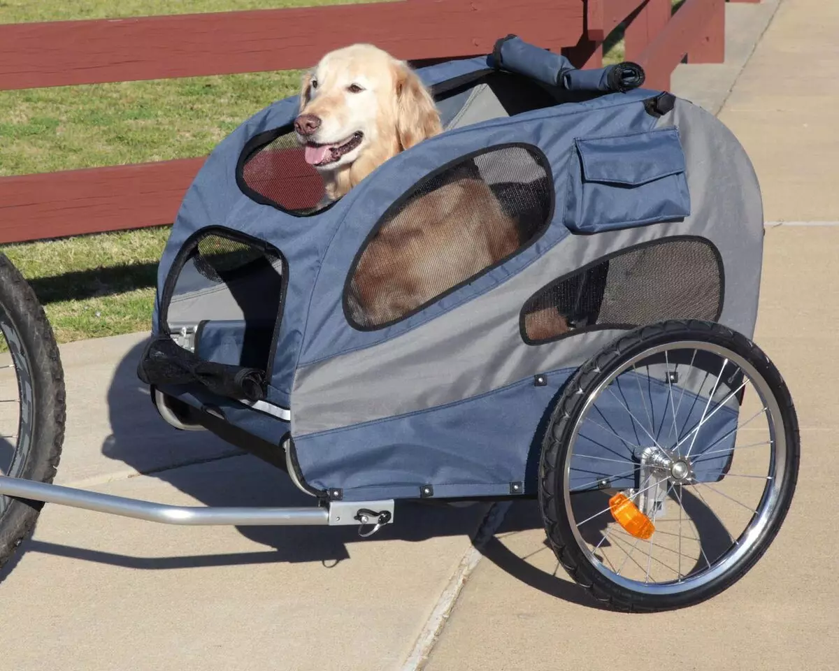 Wózki workowe (33 zdjęcia): Opis spacerowania przyjemności do transportu psów małych ras 12342_30