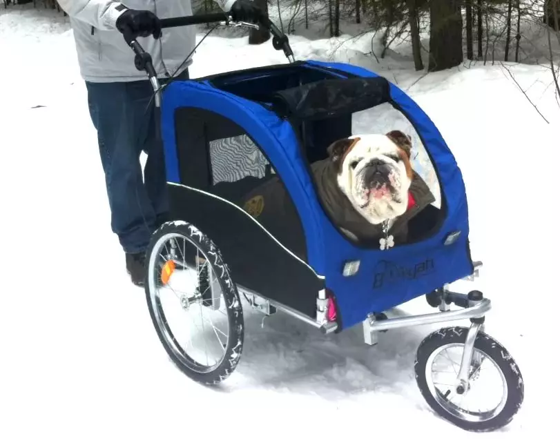 Wózki workowe (33 zdjęcia): Opis spacerowania przyjemności do transportu psów małych ras 12342_6