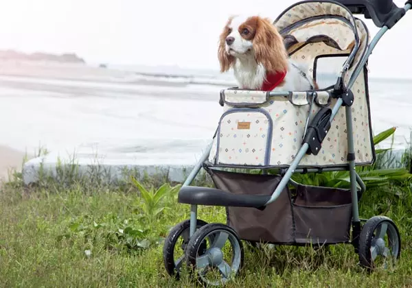 Кошница колички (33 снимки): Описание на плавателни колички за транспортиране на малки кучета порода 12342_9