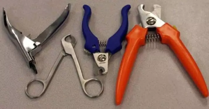 Slitters for dogs (34 photos): cunter with limiter, electric brates and other types. How to choose scissors for claws of large and small dogs? 12348_2