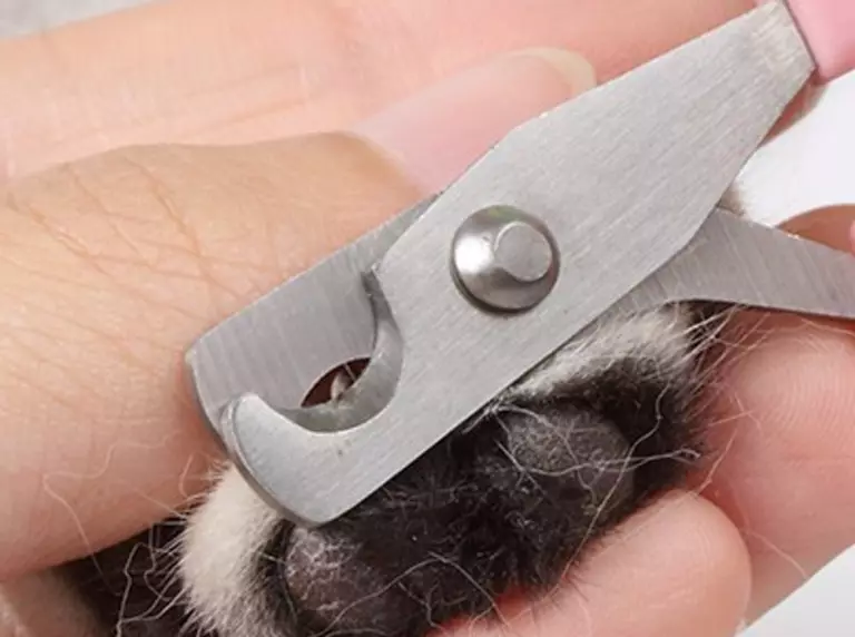 Slitters for dogs (34 photos): cunter with limiter, electric brates and other types. How to choose scissors for claws of large and small dogs? 12348_8